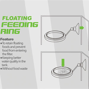 2TRIDENTS Fish Feeding Ring Practical Floating Food Square Round for Fish - Reduce Waste Maintain Water Quality (Square)