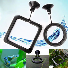 Load image into Gallery viewer, 2TRIDENTS Fish Feeding Ring Practical Floating Food Square Round for Fish - Reduce Waste Maintain Water Quality (Square)