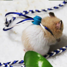 Load image into Gallery viewer, 2TRIDENTS 2 PCS Small Animal Harness and Leash for Rats Ferret Mouse Squirrel Small Animal (Random Color)