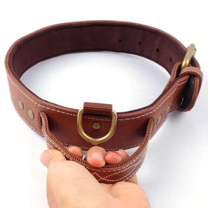 2TRIDENTS Leather Dog Collar Black/Brown M/L/XL Personalized Perfect for Small Medium Large Dog (L, Black)