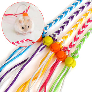 2TRIDENTS 2 PCS Small Animal Harness and Leash for Rats Ferret Mouse Squirrel Small Animal (Random Color)