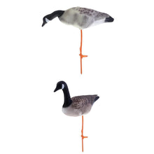 Load image into Gallery viewer, 2TRIDENTS 2pcs 3D Lifelike Full Body Goose - Suitable for Hunting, Gaming, Garden/Backyard Decoration/Ornament and More