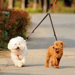 2TRIDENTS Double Dog Leashes - Strong Nylon V Shape - Two Dog Adjustable Length Dog Lead for Jogging (Black)