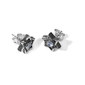 GUNGNEER Stainless Steel Jewish David Star Earrings Star Jewelry Accessory Men Women