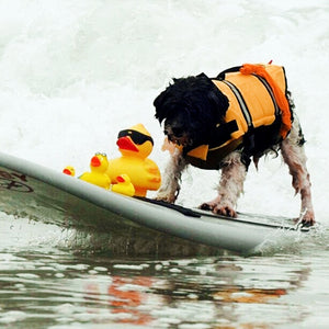 2TRIDENTS Dog Life Vest Swimming Jackets Lifesaver Reflective Coat Adjustable for Surfing Boating