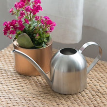 Load image into Gallery viewer, 2TRIDENTS Stainless Steel Watering Pot with Long Mouth Perfect for Plant Flower Watering Home Office Decor